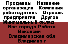 Продавцы › Название организации ­ Компания-работодатель › Отрасль предприятия ­ Другое › Минимальный оклад ­ 1 - Все города Работа » Вакансии   . Владимирская обл.,Владимир г.